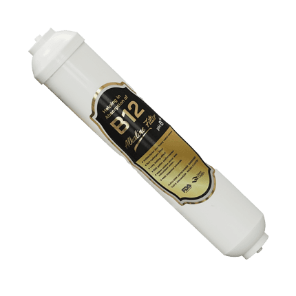 B12 Filtre Kartuşu